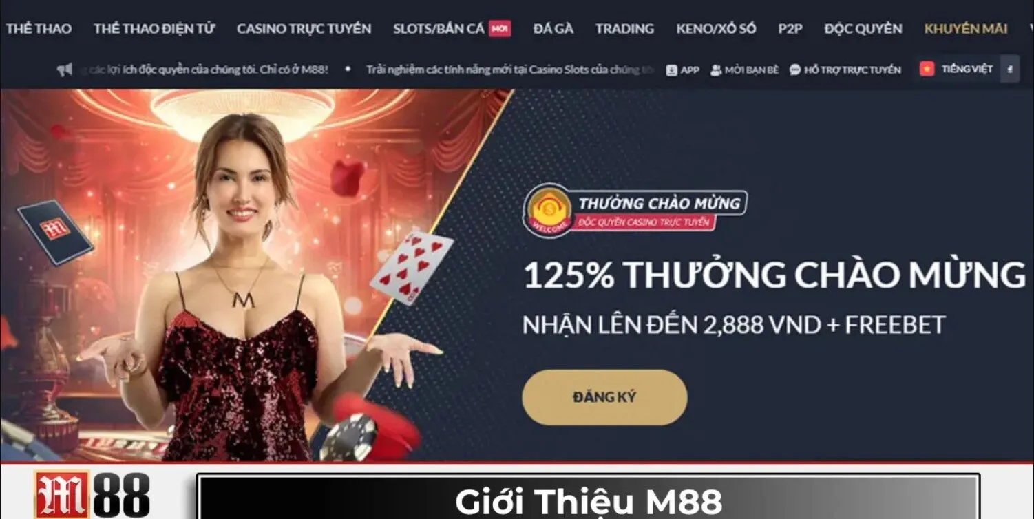 Giới thiệu chung nhất về nhà cái M88